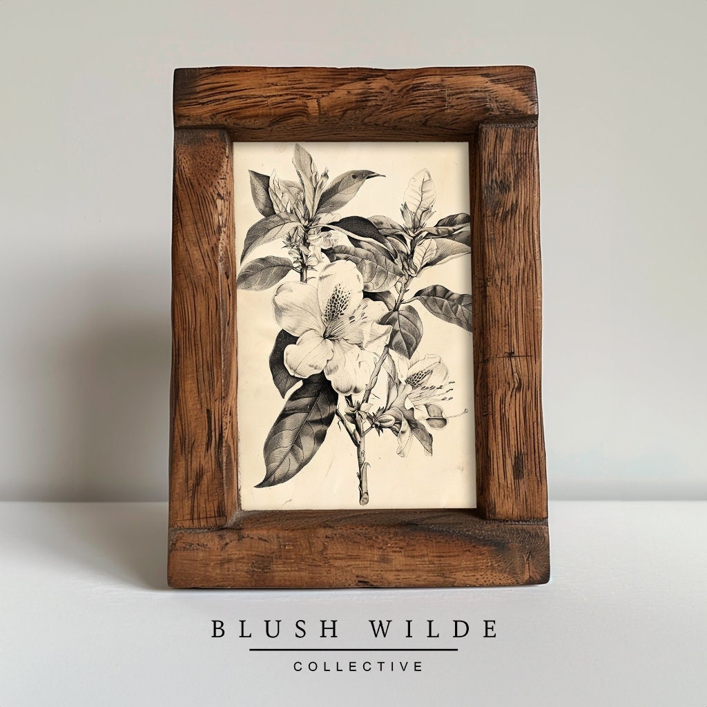Vintage Botanical Sketch / PRINTABLE Floral Vintage Drawing / Moody Charcoal Sketch Prints #59