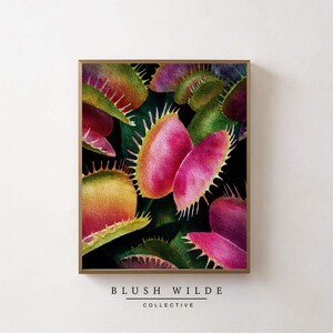 May include: A framed watercolor print featuring a close-up of Venus flytraps. The artwork showcases vibrant pink, yellow, and green plants against a dark background. The print is framed in a gold-colored frame. The text "BLUSH WILDE COLLECTIVE" is at the bottom.