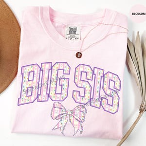 Big Sis Shirt Toile De Jouy Pastel Floral Ribbon Bow & Easter Bunny Coquette Sister Tee Matching Siblings Birthday Gifts Family Baby Reveal