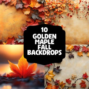 10 Golden Maple Fall Backdrops | Autumn Leaves Backgrounds | Cozy Seasonal Overlays - Autumn Backdrops - Autumn Backgrounds - Leafy Backdrop