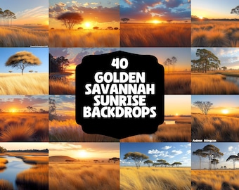 40 Golden Savannah Sunrise Backdrops | Warm Sunset Backgrounds | Nature Digital Overlays - Tree Backdrops - Sunset Backdrops - Savannah