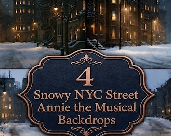 Snowy NYC Street Photography Backdrops, Winter New York Brownstone Digital Backdrop, Theater Stage Scene Portrait Backgrounds, Set of 4