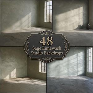 Digitala bakgrunder i Sage Limewash Studio, minimalistisk grön texturerad väggfotografibakgrund, porträtt i studio med fönsterljus