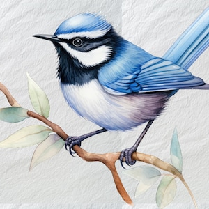Blue Wren Akwarela PNG Clipartsolated, Uroczy Niebieski Wren Malarstwo, Ptak Miłośnik Sztuki, Akwarela Clip Art, PNG, Fantazyjna Ptak Sztuka