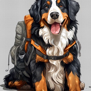 Wanderer Berner Sennenhund Clipart, Berghund Clipart, Sennenhund Welpe, Haustier Portrait Clipart, Aquarell Welpen Hund PNG Bundle.