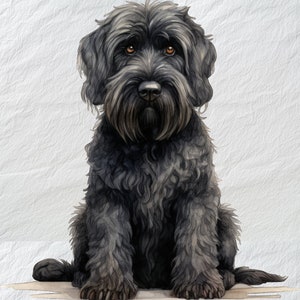 Escalofriante Terrier Ruso Negro PNG, Imagen de Terrier Ruso Negro, Gráficos de Perro Tranquilo, Imagen Serena de Mascota, Impresión para el Día del Padre, Png