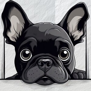 PEEKING Bulldog francese vettoriale linee nere PNG Clipart, opera d'arte adorabile cane, clipart cane cartone animato, grafica vettoriale per animali domestici, accesso immediato