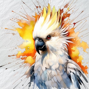 Plumaje radiante de cacatúa, arte de pared de aves exóticas, plumas coloridas de cacatúa, resplandor exótico de cacatúa, pintura de pared de aves coloridas