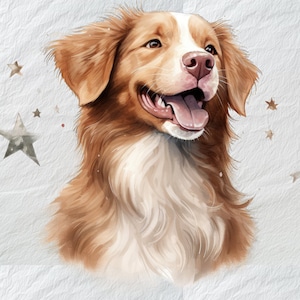 Festive Nova Scotia Duck Tolling Retriever Fetching Clipart,Christmas Dog, Festive Pet Art, Retriever Silhouette, Png Fall,Print For Teacher