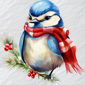Bluetit bleu avec bonnet de Père Noël et écharpe PNG aquarelle Clipart, oiseau de Noël aquarelle Clipart, Bluetit bleu en chapeau de Père Noël et écharpe, PNG