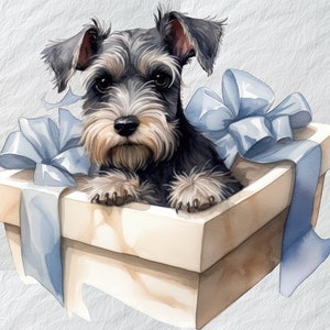 Feliz Schnauzer miniatura Imágenes Prediseñadas, imágenes prediseñadas de caja de regalo, personaje de perro festivo, imágenes prediseñadas de Schnauzer, ilustración de caja de regalo, alegría navideña digital
