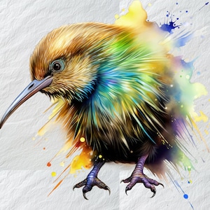 Clipart de pássaro kiwi, ilustração deliciosa de pássaro kiwi, arte gráfica encantadora da Nova Zelândia, desenho exclusivo de clipart de kiwi, vida selvagem caprichosa de kiwi