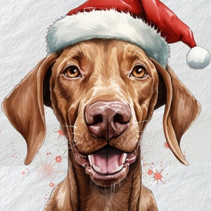 Jovial Vizsla Santa Beard Clipart, Jovial Vizsla Clipart, Ilustración de perro de barba de Santa de Navidad, Ilustración canina festiva, Perro de Navidad
