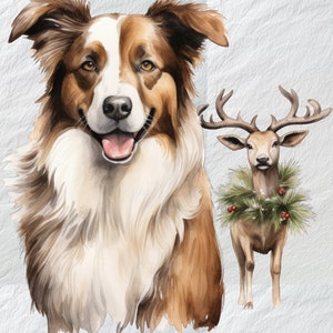 Fröhliche Australian Shepherd Weihnachten PNG, Digital Christmas Dog Clipart - Share the Cheer with Australian Shepherd Graphics
