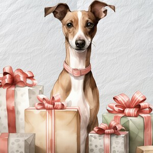 Clipart di buon levriero italiano, personaggio del cane felice, clipart levriero, illustrazione stravagante, allegria natalizia digitale, immagine per soggiorno