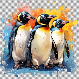 Clipart de diseño de camiseta ártica, conjunto de imágenes prediseñadas de pingüinos árticos: pingüinos de acuarela, pájaros polares, ilustraciones de invierno, imágenes prediseñadas de la familia de pingüinos