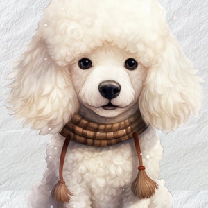 Poodle Fur Coat - Etsy