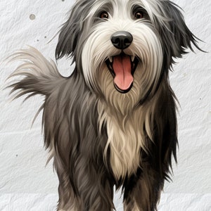 Chilling Bearded Collie PNG, Wizardly Whiskers, Chilled Bearded Collie Canine - Digitale Clipart - Instant Download PNG Art