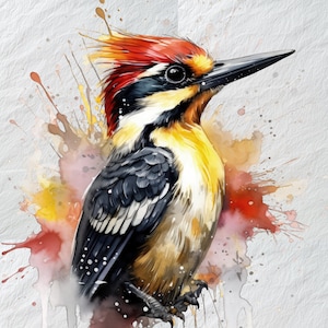 Specht Perkussive Peck, Specht Kunst, Specht Illustration, Specht Peck, Vogel Liebhaber Geschenk, Natur Wand Kunst, Natur inspirierte Kunst,