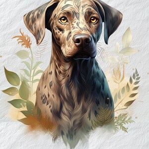 Mysterieuze Catahoula Leopard Dog Clipart, Mystic Symbol Clipart, Catahoula Leopard Dog Mystery Clipart, intrigerende hondkunst, Canine Graphics