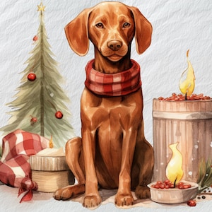 Alegre Vizsla Navidad PNG, Calidez navideña, Perro Vizsla celebrando la Navidad, Imágenes prediseñadas PNG festivas, Gráficos digitales