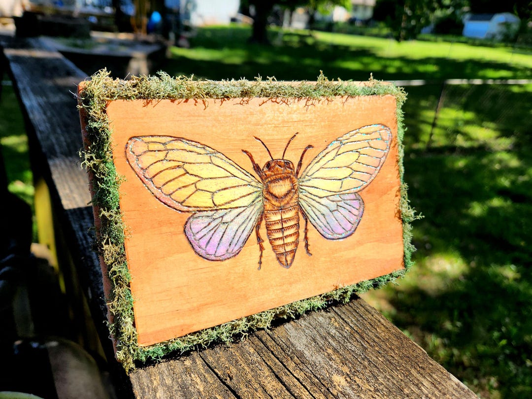 Pastel Rainbow Cicada Wall Decor Handmade Pyrography Art, Insect Moss ...
