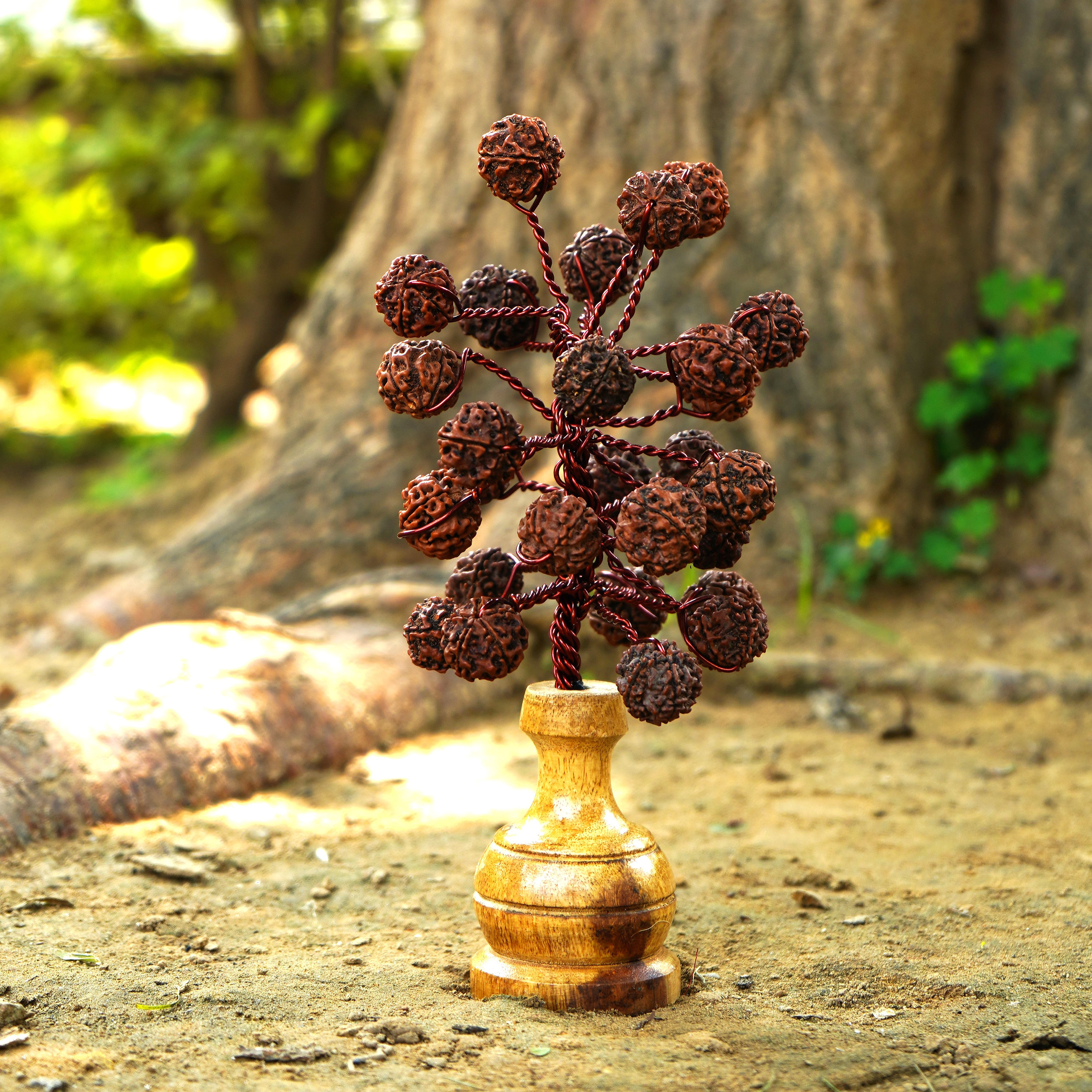 Handmade Rudraksha Tree Genuine 5 Face mukhi Rudraksha Lab