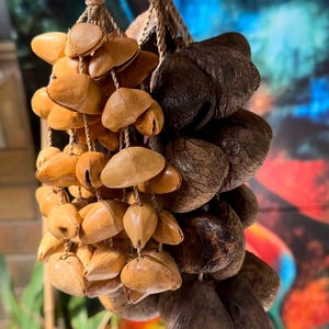 May include: Two sets of seed pods, one light brown and one dark brown, are strung together with twine and hang from a woven cord. The seed pods are arranged in a cascading pattern.
