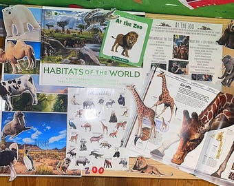 Zoo Mini Unit, Preschool, Homeschool Resources. Learn about animals, lesson plan, animal habitats, morning bins, early education, printable