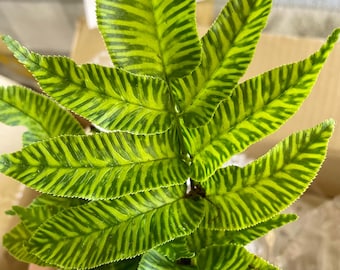 May include: A Pteris ensiformis 'Evergemiensis' fern plant featuring elongated, lance-shaped fronds with a distinct variegated pattern. The leaves display a bright lime green center stripe bordered by dark green edges, creating a striped effect.