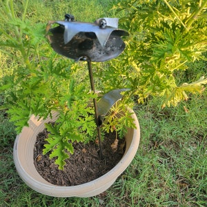 Venus Fly Trap Metal Art Sculpture