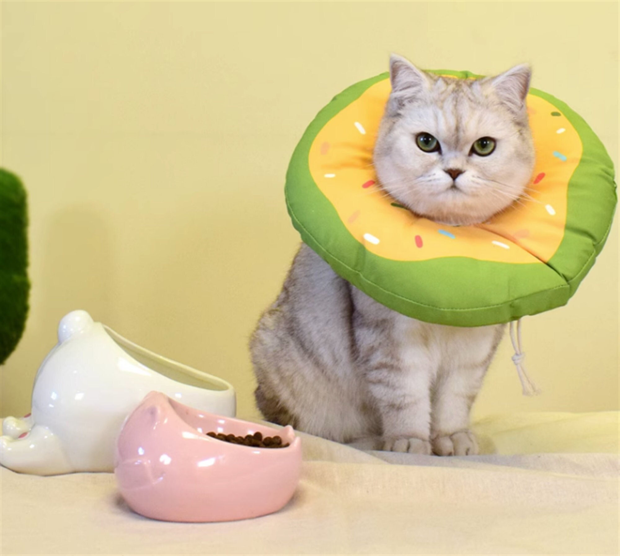  H HIDREAM Cat Cone Collar,Cute Waterproof Cat