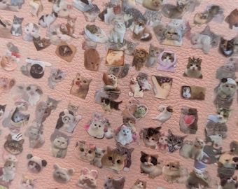 Cat Sticker Pack