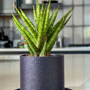 Eclipse Tabletop Vase with Hidden Drip Tray, 3D Printed Home Decor Gift, Modern Planter