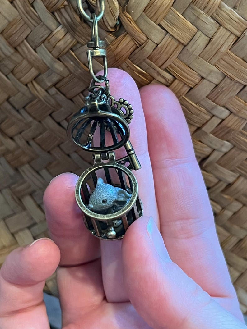 Rat in a Cage Keychain: Antique Bronze Birdcage Locket - Etsy