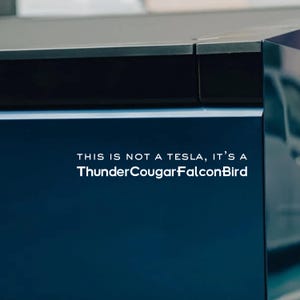 ThunderCougarFalconBird Sticker: Funny Futurama Anti-Elon Bumper Decal