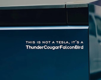 ThunderCougarFalconBird-klistermärke: Rolig Futurama Anti-Elon-stötfångardekal