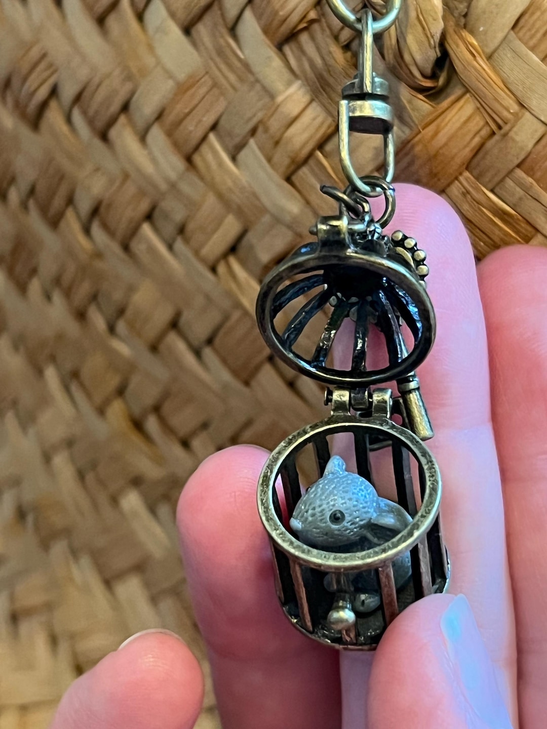 Rat in a Cage Keychain: Antique Bronze Birdcage Locket - Etsy