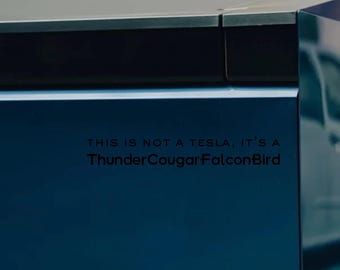 ThunderCougarFalconBird Stansad Klistermärke – Futurama Anti-Elon Bildekal