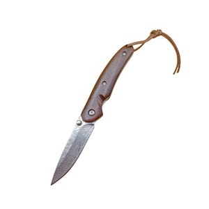 Damascus Steel Folding Knife Camping Outdoor Knife Sharp Fruit Knife Sourwood Handle