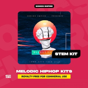 Può includere: Design di arte digitale con un busto bianco e un cerchio rosso e arancione. Le parole "STEM KIT" sono in un rettangolo nero. Il testo include "MELODIC HIPHOP KITS" e "ROYALTY FREE FOR COMMERIAL USE".