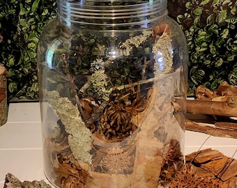Isopod Starter Kit | 6 Element Variety + FREE BONUS GIFT | Bioactive Vivarium Supplies