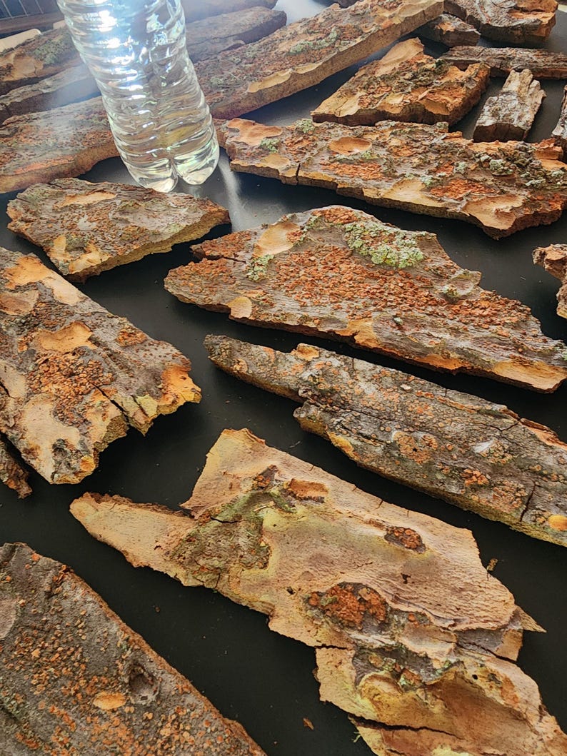 May include: A collection of irregularly shaped pieces of tree bark, displaying a range of brown, orange, and gray hues. Some pieces have patches of green and textured surfaces. A clear plastic water bottle is partially visible.