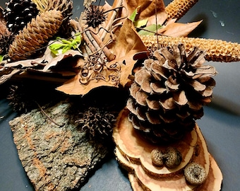 Woodland Wonders Craft Box | Spiritual Meaning Card Included | 30+ Natural Forest Elements
