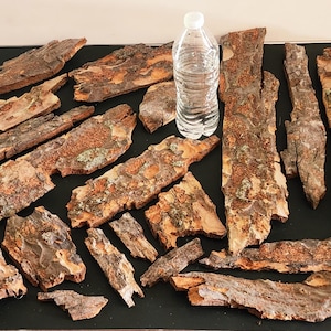 May include: A collection of natural tree bark pieces in various shapes and sizes, with a clear plastic water bottle for scale. The bark has a rough, textured surface with shades of brown, orange, and hints of green.