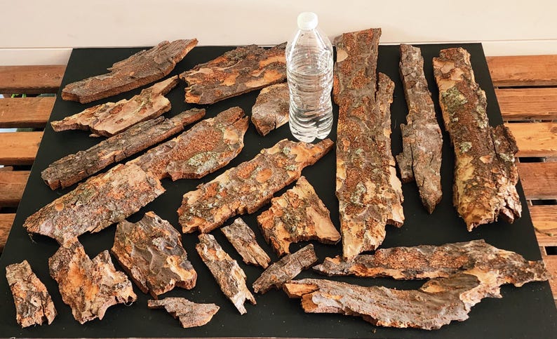 May include: A collection of natural tree bark pieces in various shapes and sizes, with a clear plastic water bottle for scale. The bark has a rough, textured surface with shades of brown, orange, and hints of green.
