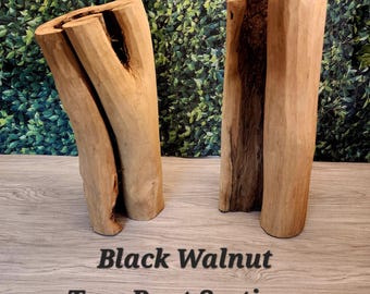 Natural Black Walnut Tree Root Sections | Set of 2 | Cured and Fully Dry