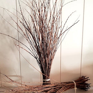 Dried Willow Twigs – Natural, Spray-Paintable, and Long-Lasting
