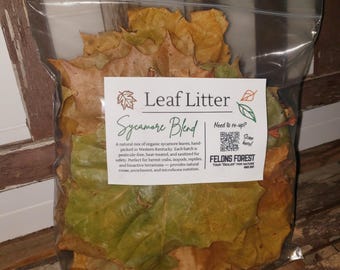 Organic Sycamore Leaf Litter – Terrarium & Hermit Crab Enrichment