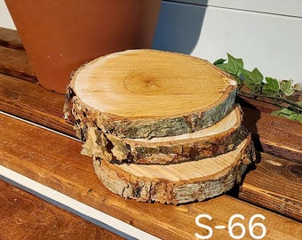 Set of 3 Birch Wood Slices | 6" Diameter with Live Edge